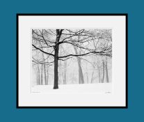 Missouri-Winter-'89-FR-B.jpg