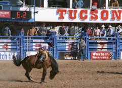 Bucking-I - cropped.JPG