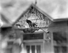 cherub001a_8125.jpg