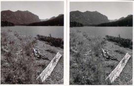 toner sample 2.jpg