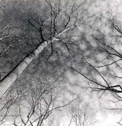 Scan_MackerelSky_TestPrint.jpg