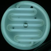 badlamp.jpg