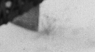 close up spots.jpg