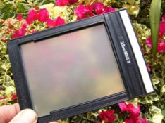 Ground glass from a holder apug.jpg