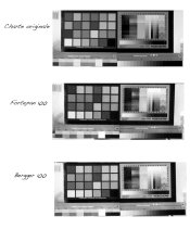 comparatif bergger : forte 100.jpg