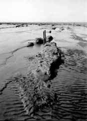 steart-posts-mud-horizon-ve copy.jpg