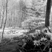 SQ017_05_26s_f253.jpg