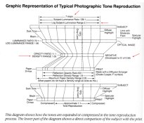 Kodak tone reproduction graphic.jpg
