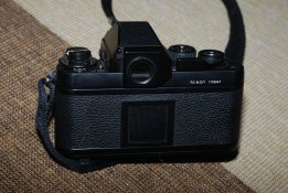 DSC_0117.jpg