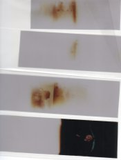 Scan-120125-0001.jpg