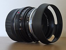 _1020026 web.jpg