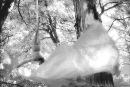 jbaphoto050122N17.jpg