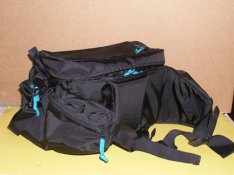 GR bag #2 web.jpg
