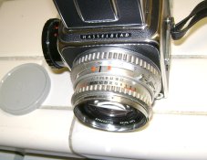 hass-1.JPG