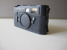 IMG_0066012812.jpg