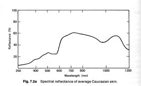 Caucasian Skin.jpg