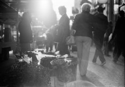 yashica1k.jpg