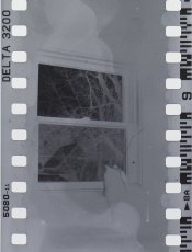 RTX_7706_5.JPG