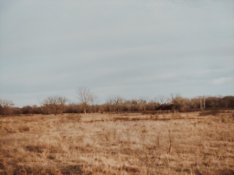 20220327_151258.jpg