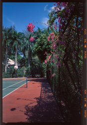 Untitled 7.jpg