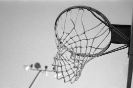 img751.jpg