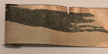 Verichrome-backing-paper.jpg Verichrome-backing-paper.jpg