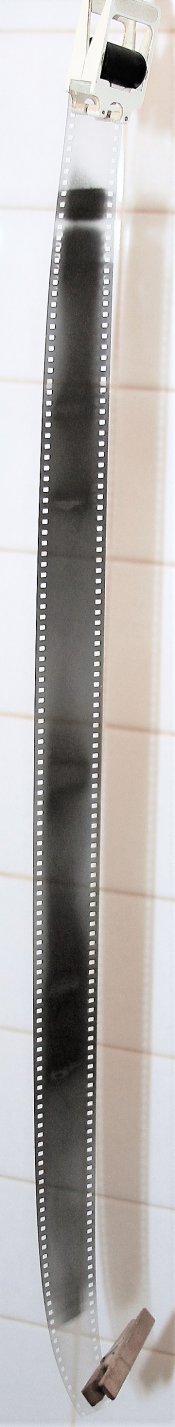 _MGM4329.JPG