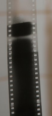 _MGM4331.jpg