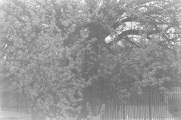 IMAG0017_web.JPG