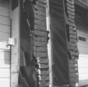 Hasselblad ELM - Arista 200 - 2.jpg