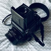 IMG_8354.JPEG IMG_8354.JPEG