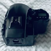 IMG_8321.JPEG