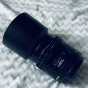 IMG_8344.JPEG