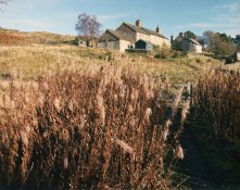 Near Blanchland, Northumberland.jpg