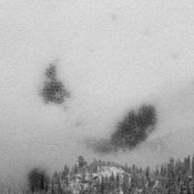 marks on film(1 of 1 close up).jpg