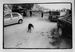 8339B150-31AD-4F32-80FB-6FD6EA61AC68.jpeg