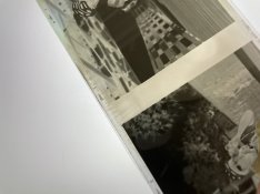 IMG_0675.jpeg