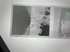 IMG_0676.jpeg