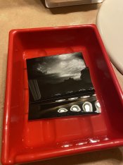 IMG_2678.jpeg