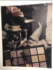 autochrome_ra4_5.PNG