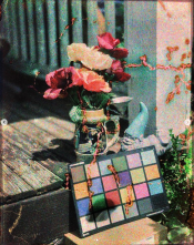 autochrome_plate_original.PNG