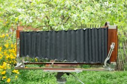 DORF03.jpg