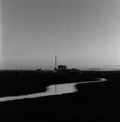 _RMC2978-2.jpg