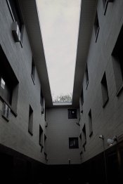 1371x2048x2.jpg