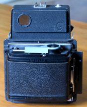 IMGP3620.jpg