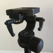 head.JPG
