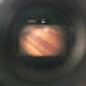 IMG_9288.jpeg