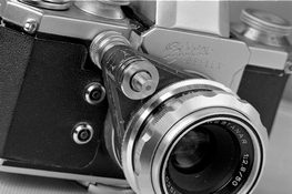 edixa macro_001_web.jpg