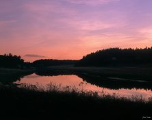 6851149019_ca33c5bf86_b.jpg