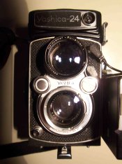 tlr1.jpg
